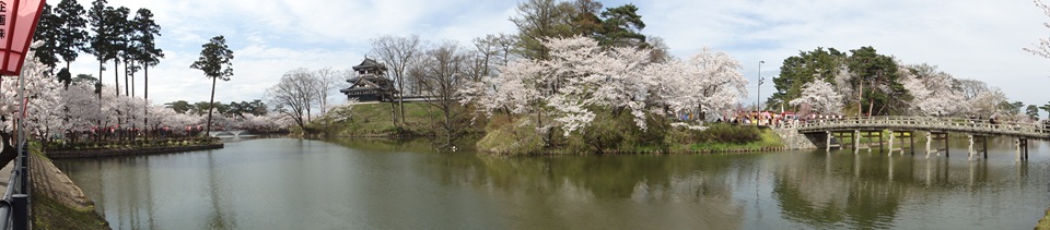 高田公園観桜会